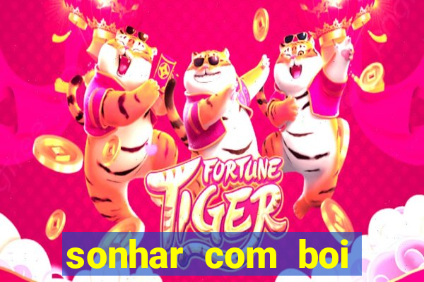 sonhar com boi jogo do bicho